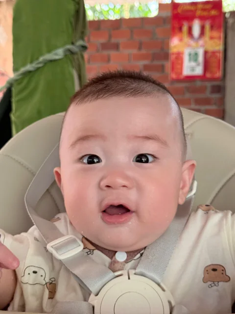 Bé Tú Tài ngồi trên ghế, mở to đôi mắt tròn